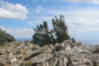 Photo of beige angular rocks and a tree in the foregound, a a blue sky with clouds in the background
